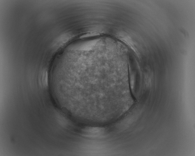 X0000116490205200912292112