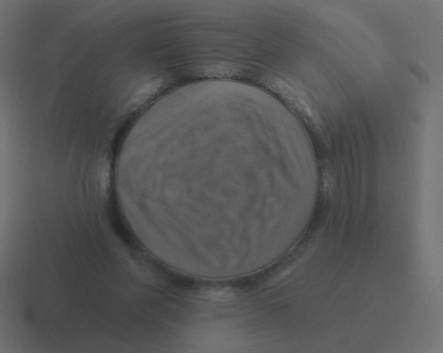 X0000116490206200912292112