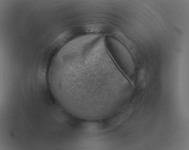 X0000116490209200912292112