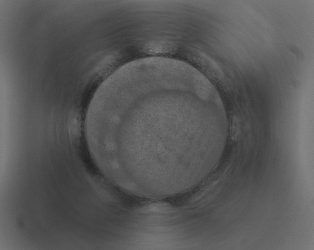 X0000116490210200912292112