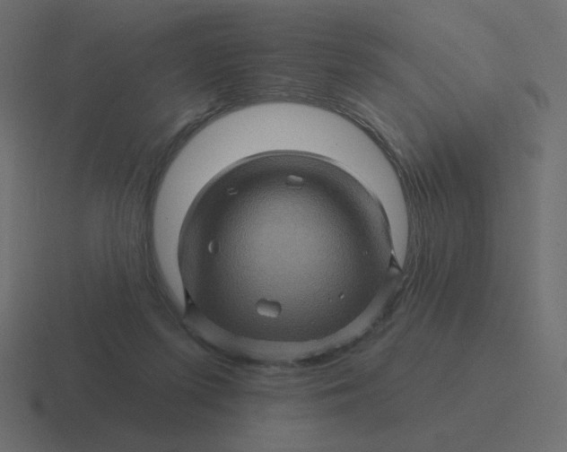 X0000116490215200912292112