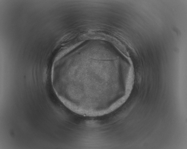 X0000116490216200912292112