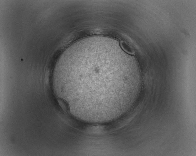 X0000116490217200912292112