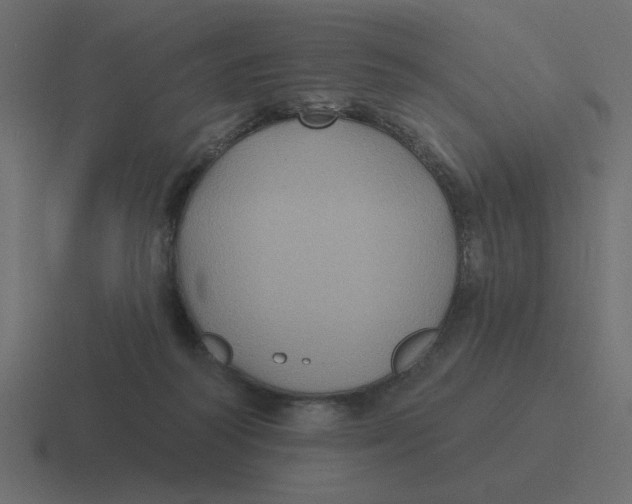 X0000116490218200912292112