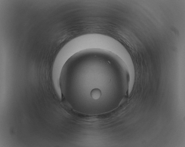 X0000116490219200912292112