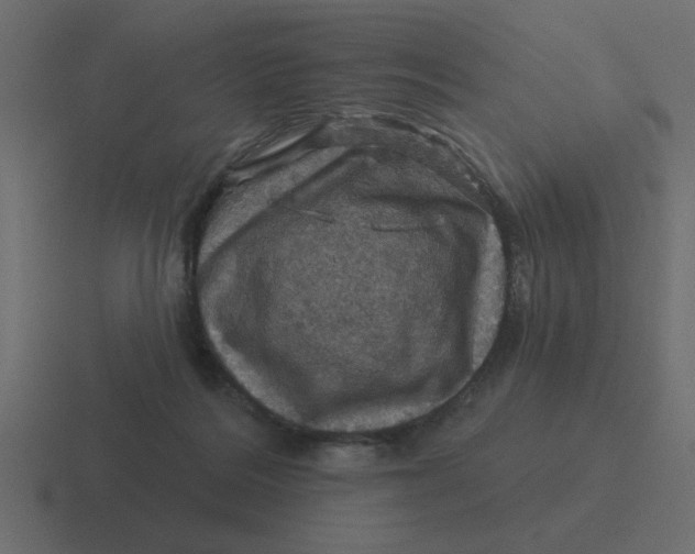 X0000116490220200912292112