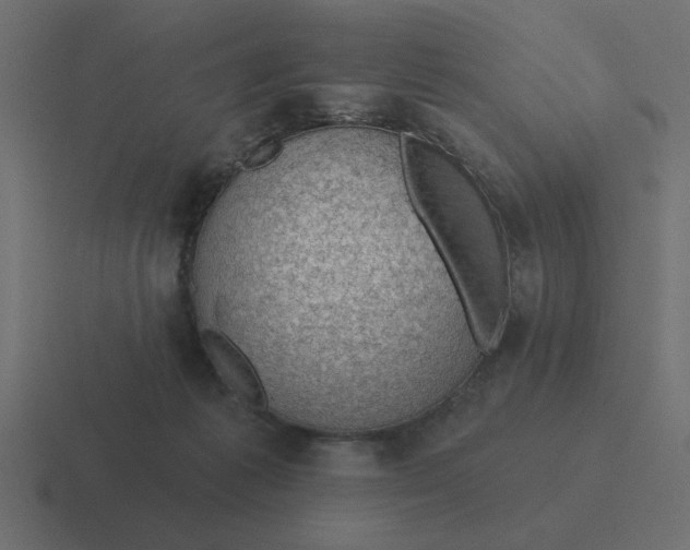 X0000116490221200912292112