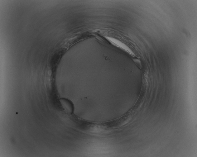 X0000116490223200912292112