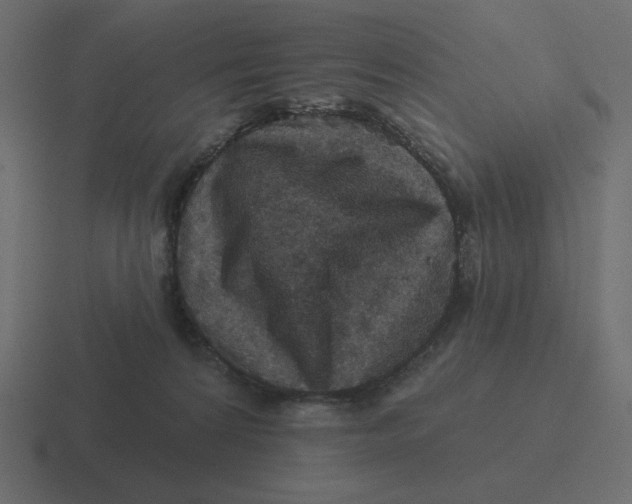 X0000116490224200912292112