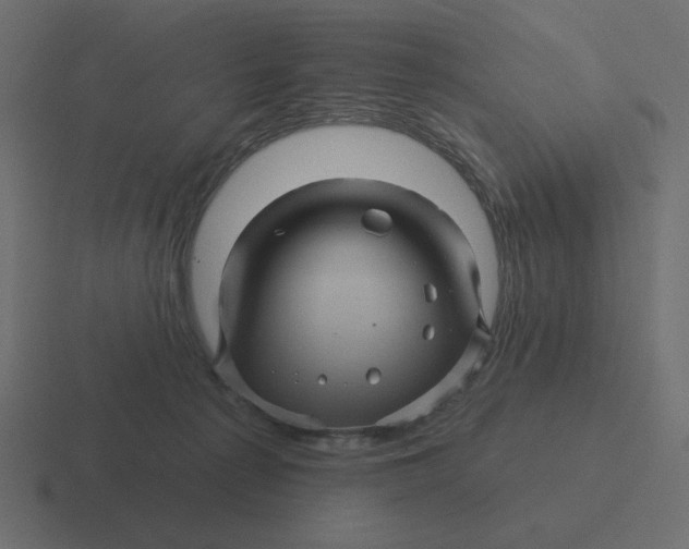 X0000116490225200912292111