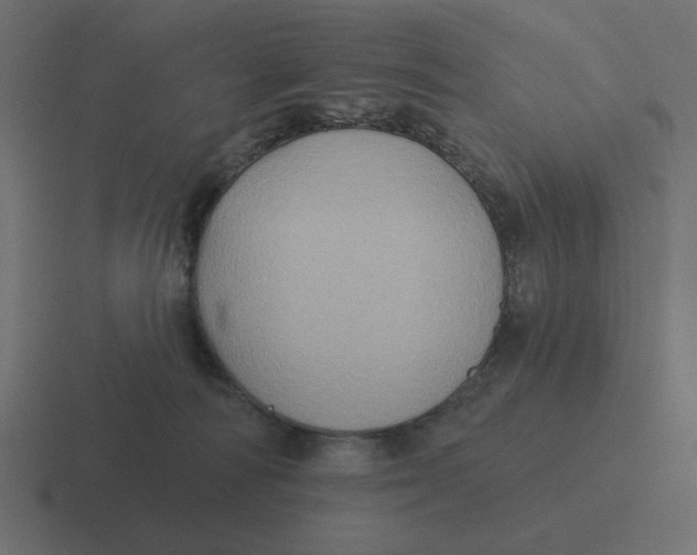 X0000116490226200912292111