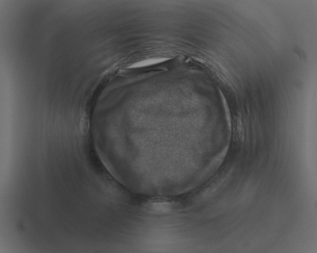 X0000116490228200912292111