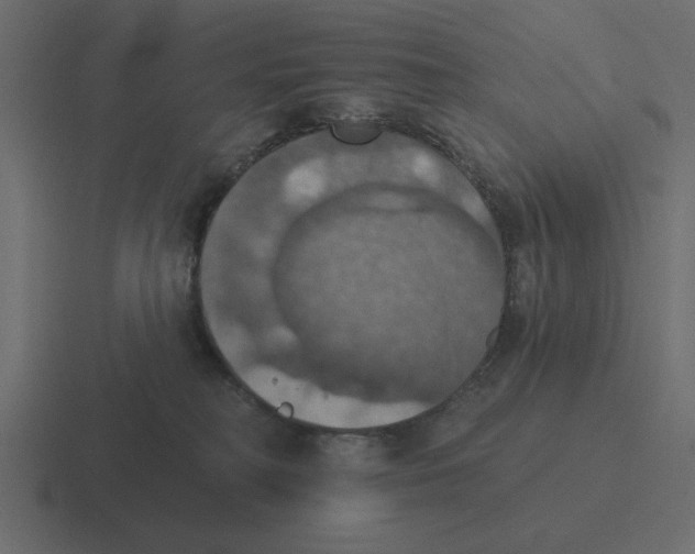 X0000116490230200912292111