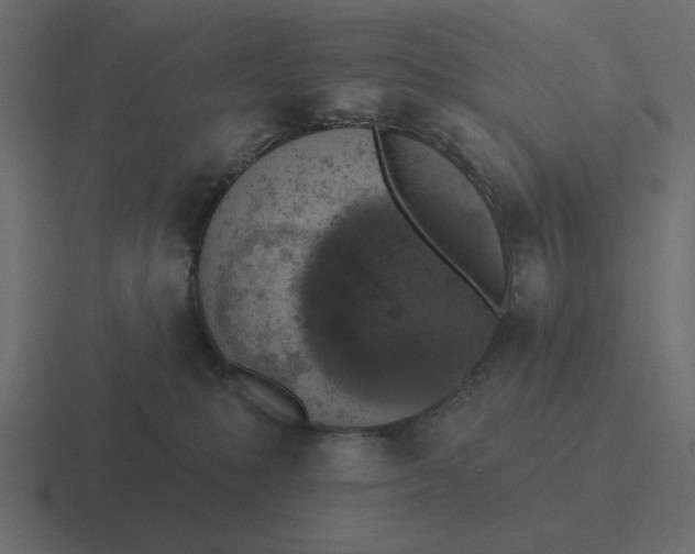 X0000116490231200912292111