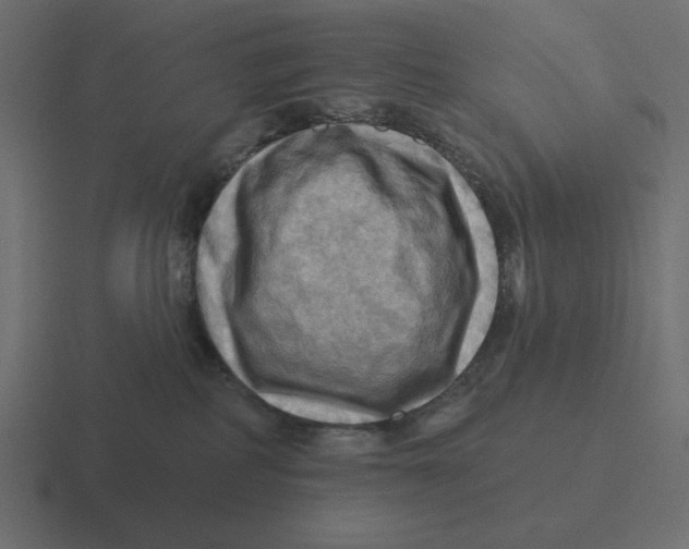 X0000116490234200912292111