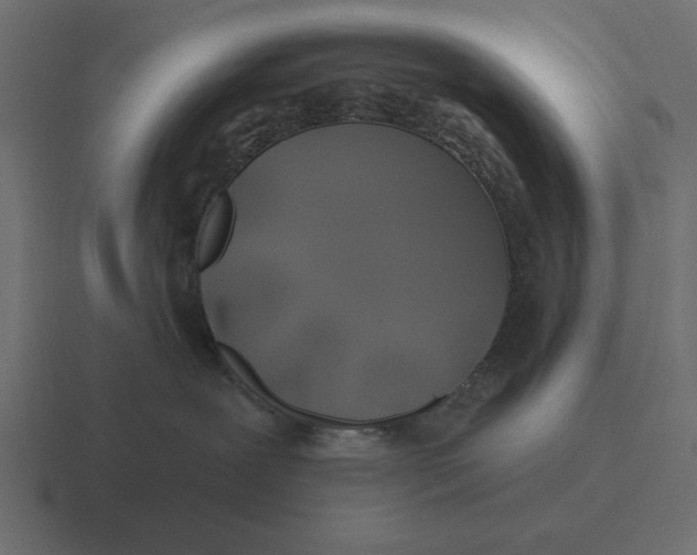 X0000116490239200912292111