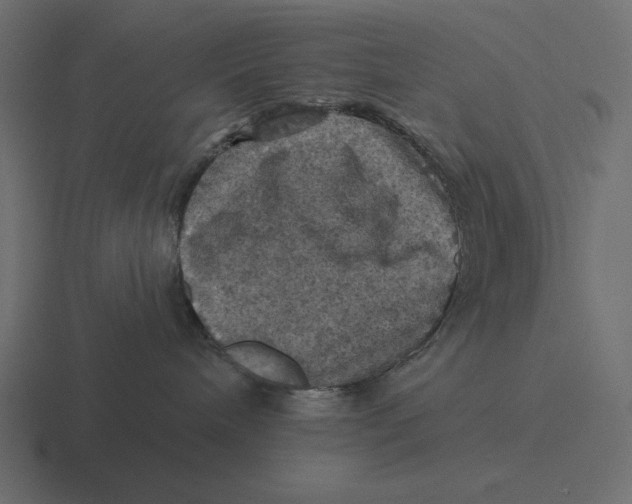 X0000116490240200912292111