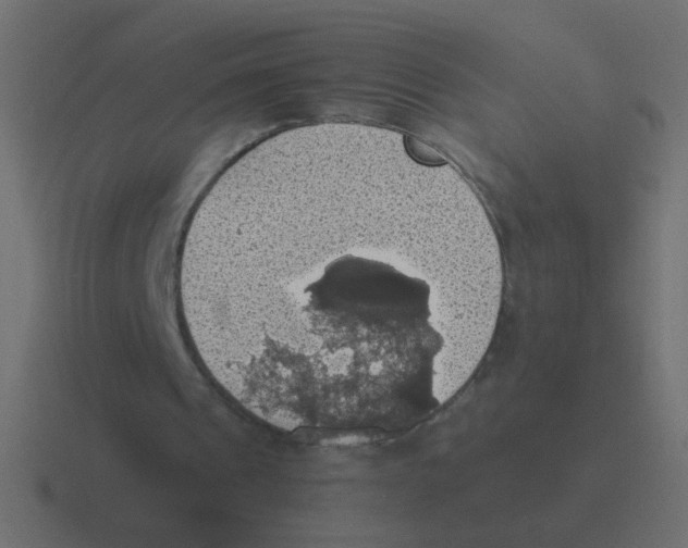 X0000116490241200912292111