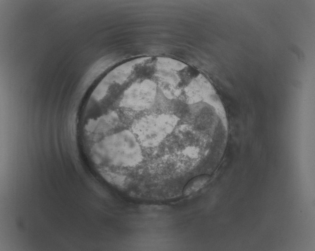 X0000116490242200912292111