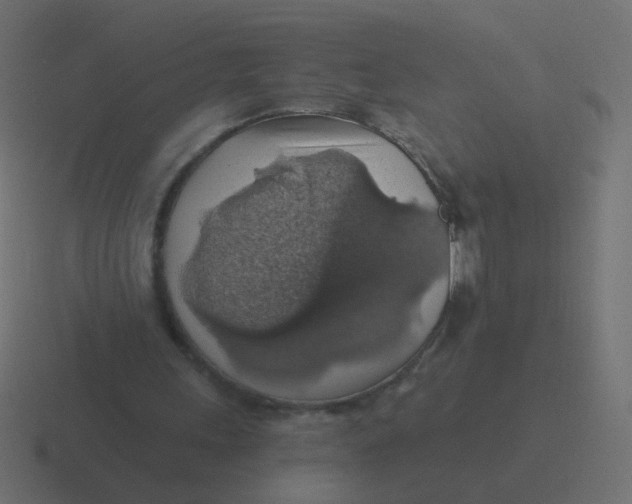 X0000116490243200912292111