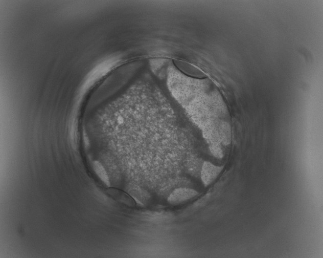 X0000116490245200912292111