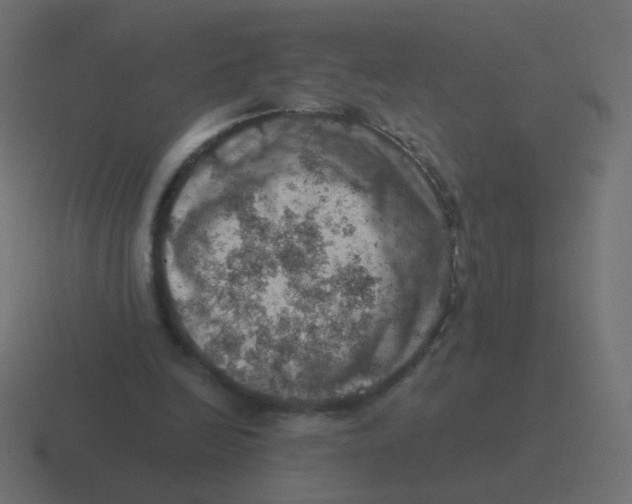 X0000116490246200912292111