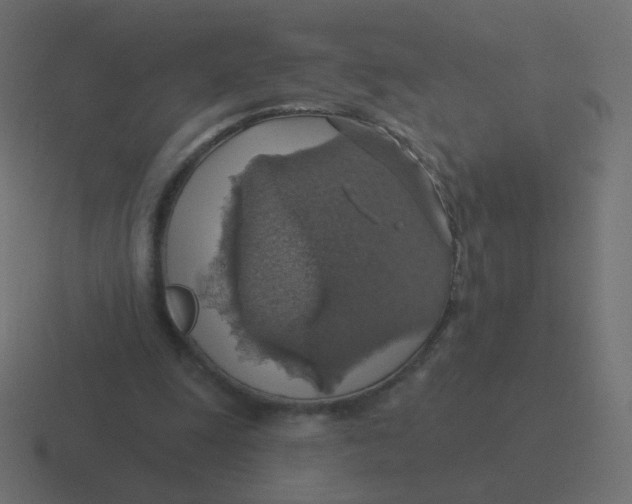 X0000116490247200912292111