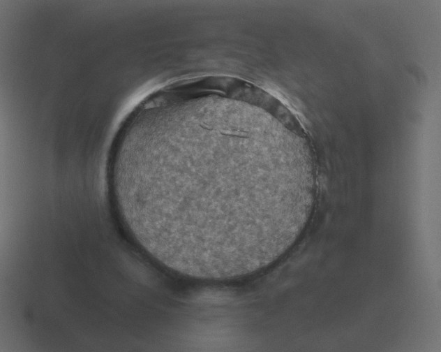 X0000116490248200912292111