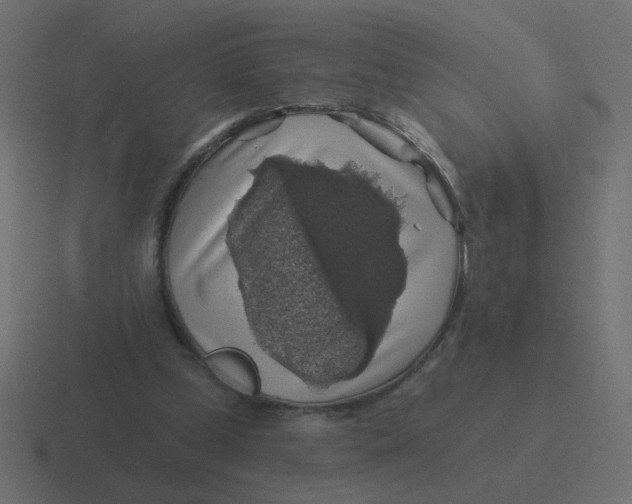 X0000116490249200912292111