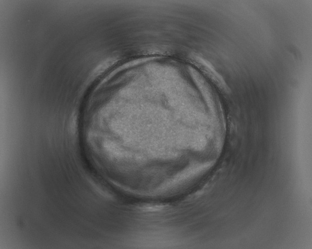 X0000116490250200912292111