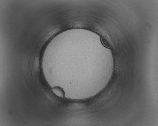 X0000116490251200912292111