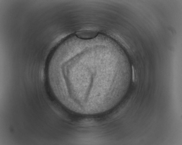 X0000116490252200912292111