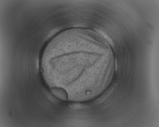 X0000116490253200912292111