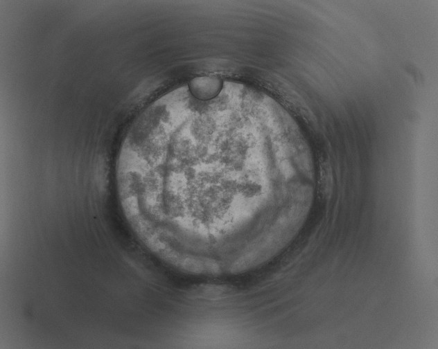 X0000116490255200912292111