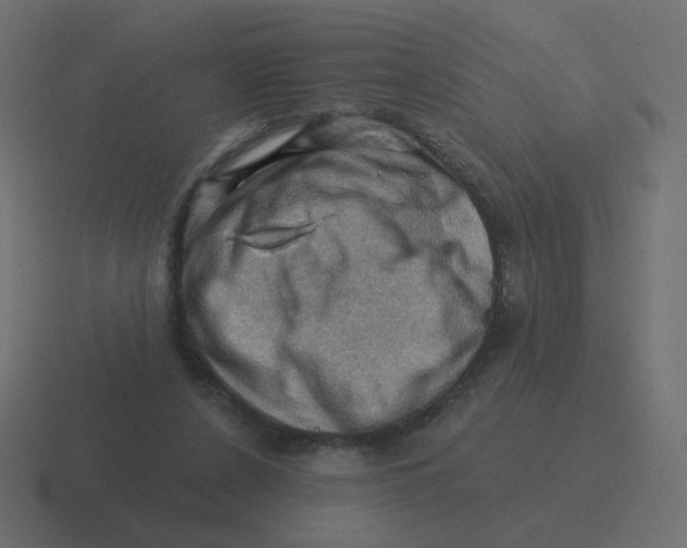 X0000116490256200912292111