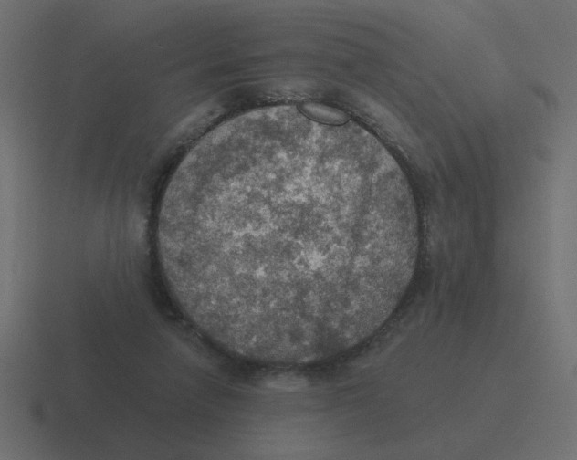 X0000116490258200912292111