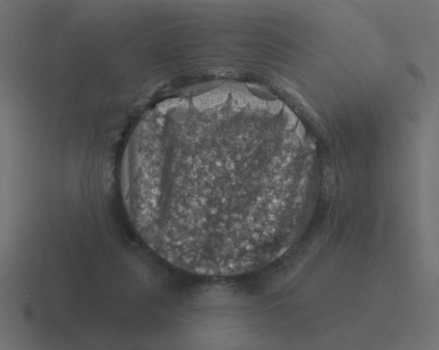 X0000116490259200912292111