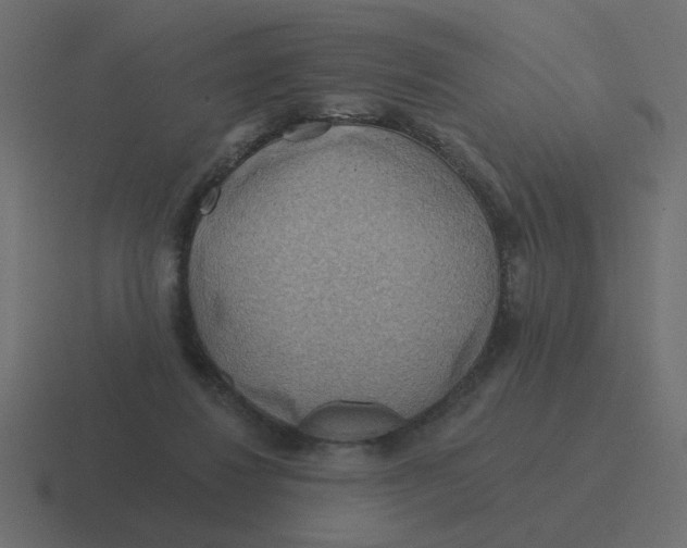 X0000116490260200912292111