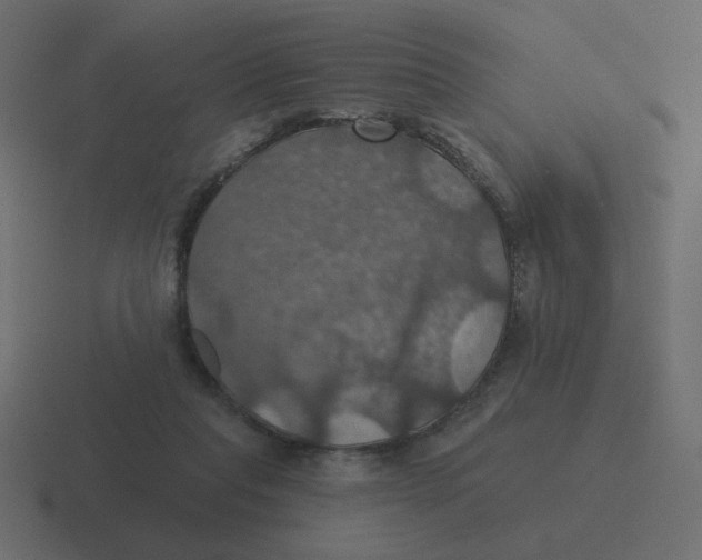 X0000116490261200912292111