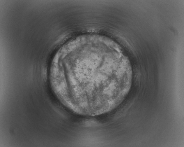 X0000116490262200912292111