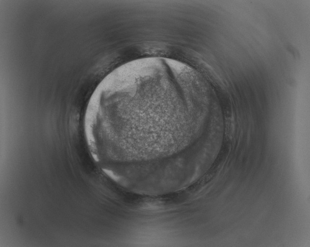 X0000116490263200912292111