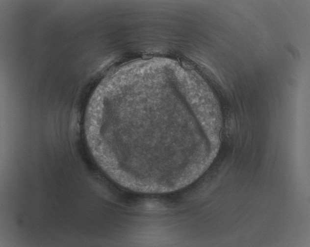 X0000116490264200912292111