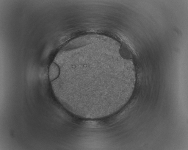 X0000116490265200912292111