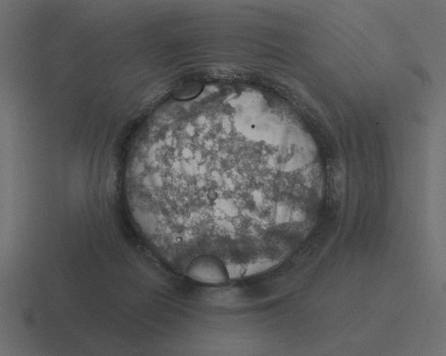 X0000116490266200912292111