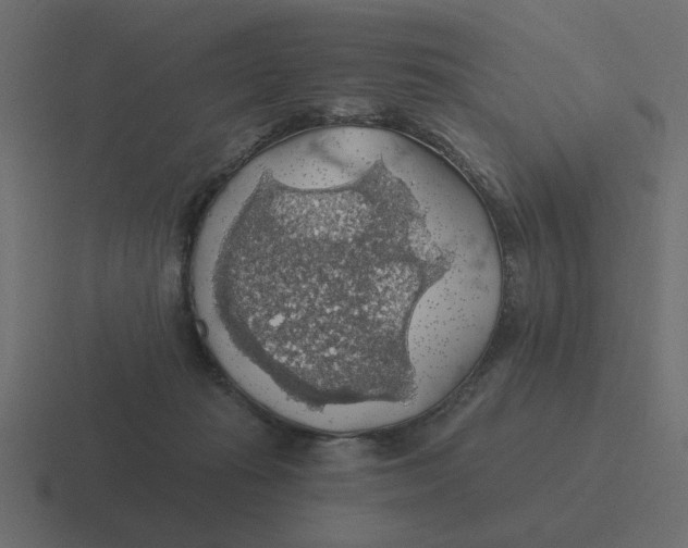 X0000116490269200912292111