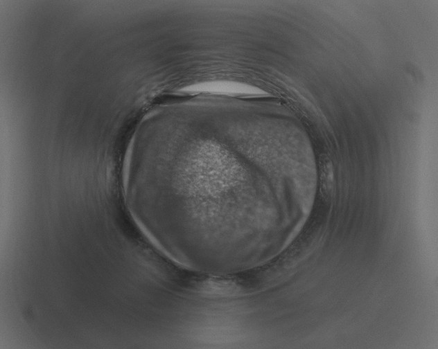 X0000116490270200912292111