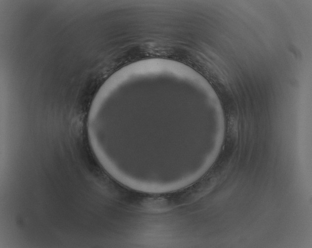 X0000116490271200912292111