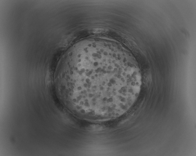 X0000116490272200912292111