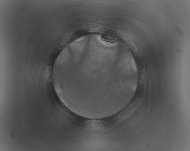 X0000116490273200912292111