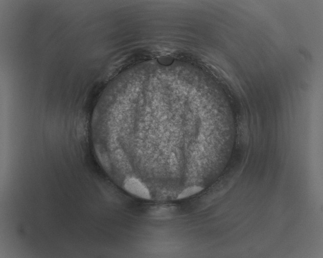 X0000116490274200912292111